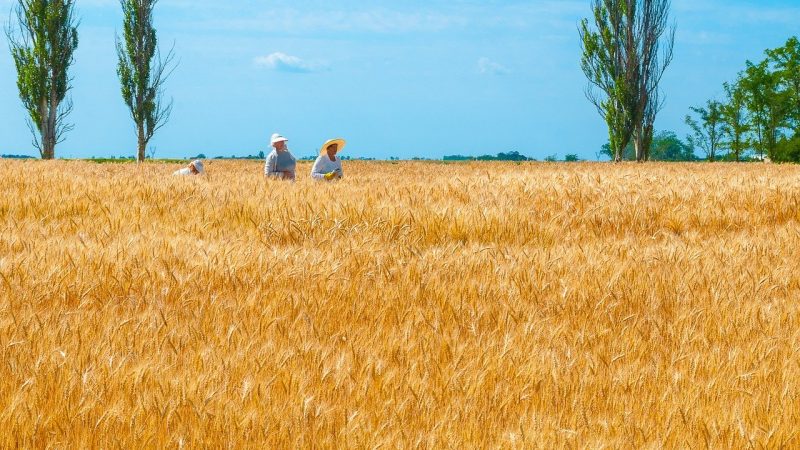 Khủng hoảng Ukraine: Belarus cho biết các cuộc tập trận chung với Nga sẽ tiếp tục ‘do căng thẳng biên giới’