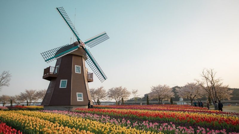 Người Hà Lan đăng ký chiến đấu cho Ukraine