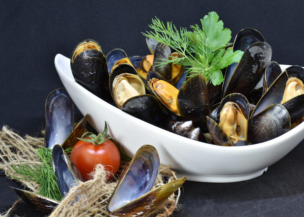 Hà Lan: Cảnh báo không ăn hải sản Westerschelde do hóa chất PFAS