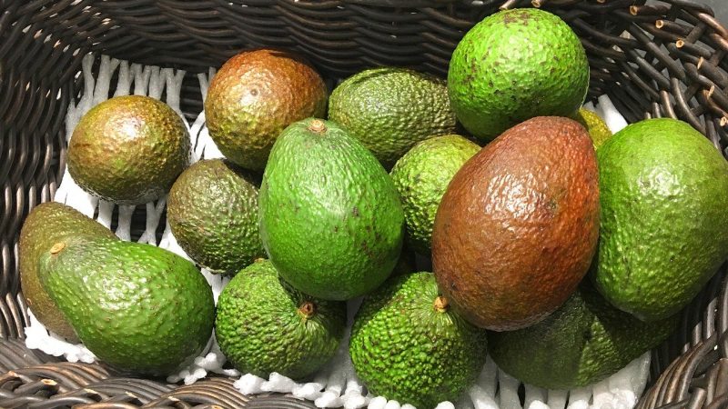 Thế giới: Từ bơ đến cà phê, một số chi phí thực phẩm bắt đầu giảm nhưng giá vẫn cao