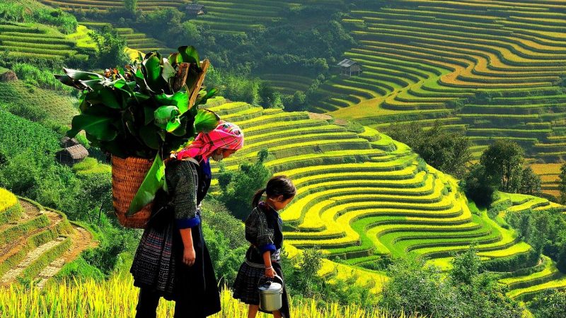 EU – Việt Nam: Sự hợp tác toàn diện hơn 30 năm vì sự thịnh vượng và phúc lợi của EU và công dân Việt Nam