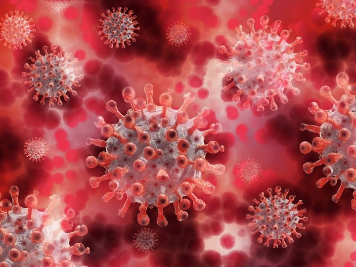 ‘Virus luôn có thể đột biến’: Chuyên gia Bỉ thảo luận về các biến thể mới của Covid-19 vào tuần tới
