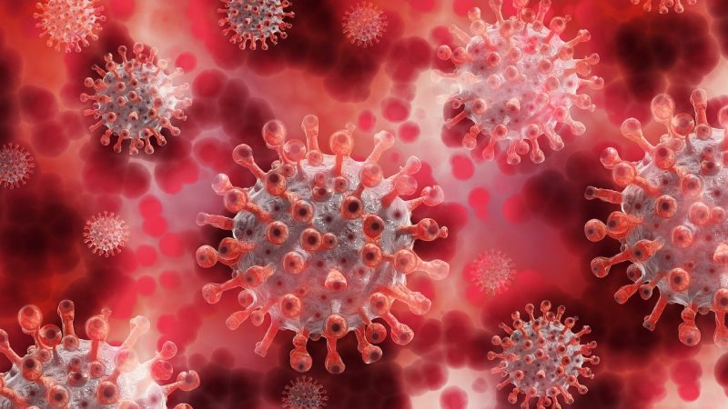 ‘Virus luôn có thể đột biến’: Chuyên gia Bỉ thảo luận về các biến thể mới của Covid-19 vào tuần tới