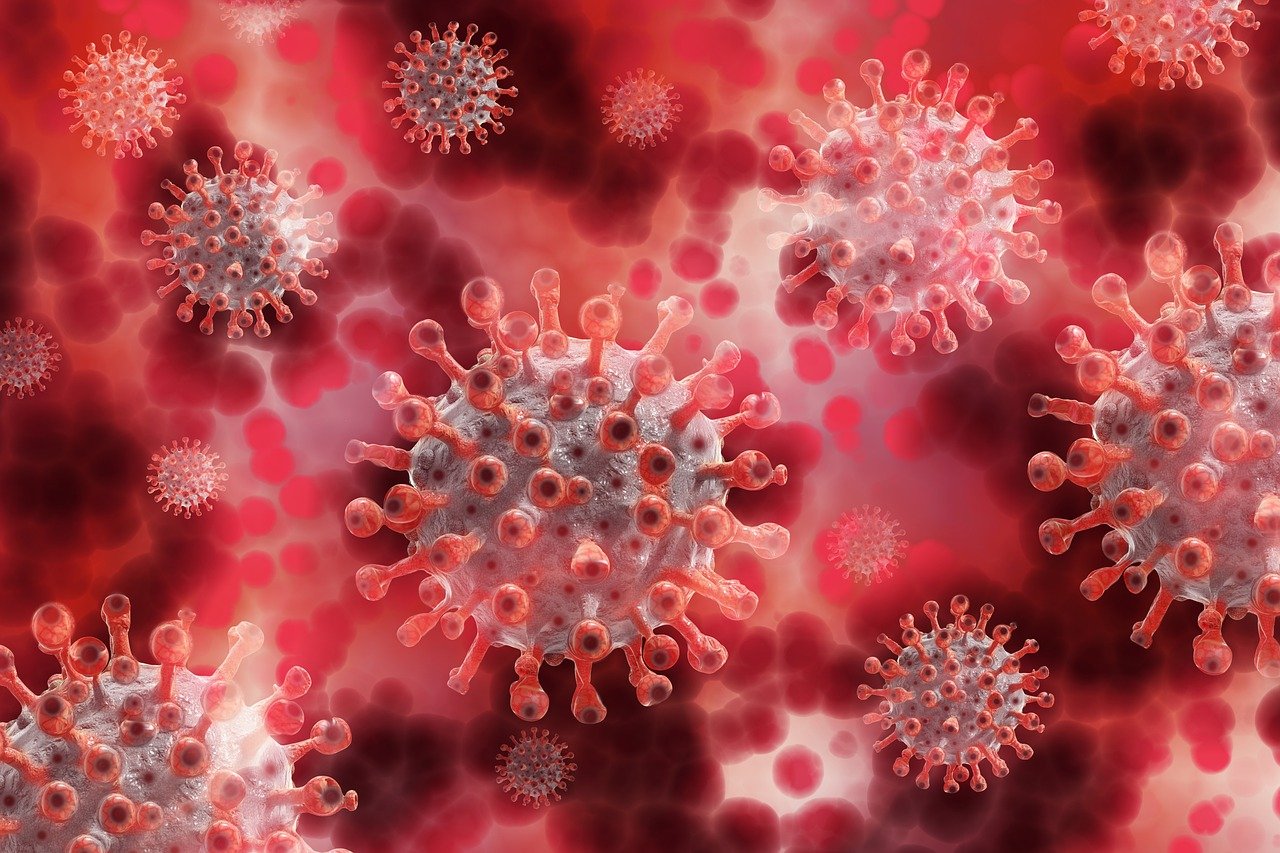 ‘Virus luôn có thể đột biến’: Chuyên gia Bỉ thảo luận về các biến thể mới của Covid-19 vào tuần tới