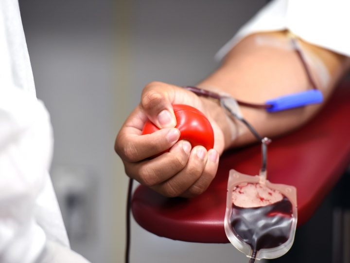 Đức sẽ chấm dứt phân biệt đối xử với những người đồng tính tham gia hiến máu