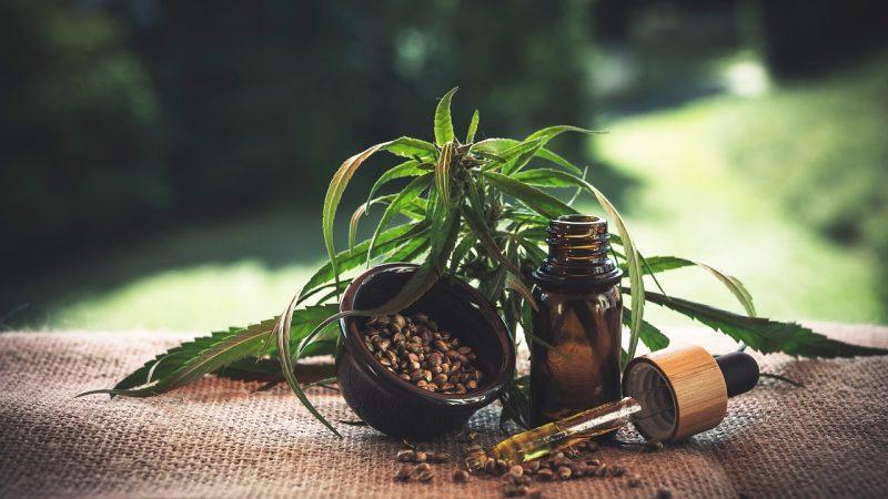 Cộng hòa Séc loại bỏ CBD và các chất cần sa có nguồn gốc từ cây gai dầu khác khỏi thị trường