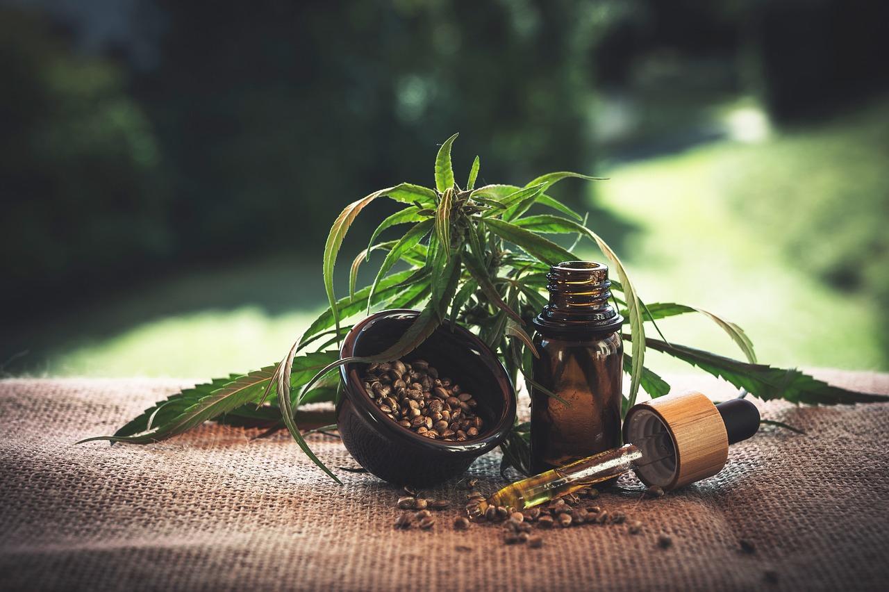 Cộng hòa Séc loại bỏ CBD và các chất cần sa có nguồn gốc từ cây gai dầu khác khỏi thị trường