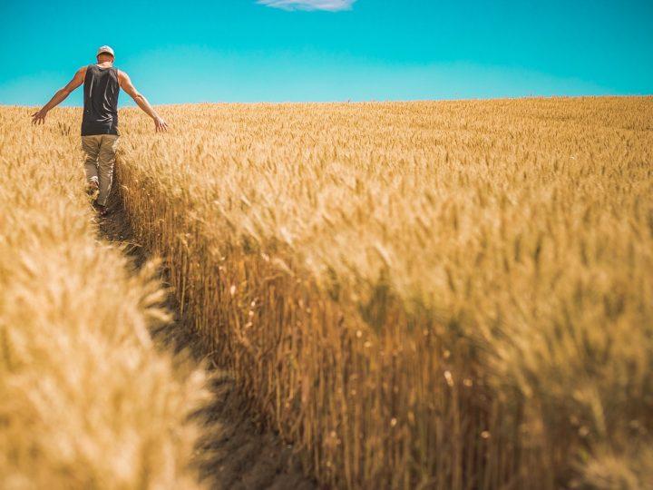 Nông dân Romania và Bulgaria tức giận vì nông sản Ukraine nhập khẩu