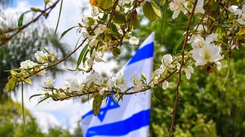 EU xem xét lại viện trợ tài chính cho Palestine để đảm bảo không hỗ trợ ‘gián tiếp’ cho khủng bố