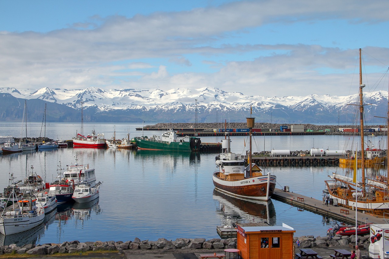 Iceland ban bố tình trạng khẩn cấp vì động đất leo thang và lo ngại núi lửa phun trào