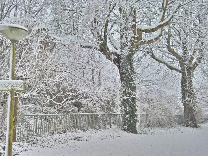Hà Lan: Thời tiết mùa đông gây xáo trộn giờ cao điểm buổi sáng; Dự báo tuyết rơi nhiều hơn