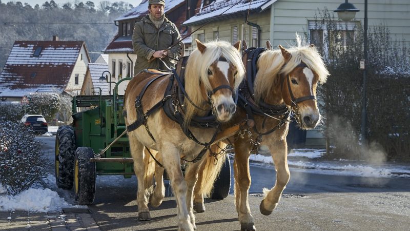 Nông dân Romania, Pháp và Đức tiếp tục biểu tình bằng đoàn xe trên đường bộ