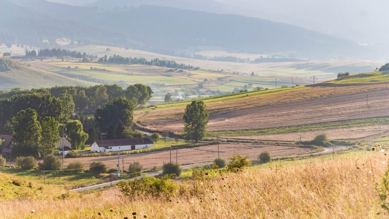 Người nước ngoài đang sử dụng thị thực lao động của Romania để đến các quốc gia EU khác một cách bất hợp pháp, các nhà chức trách tuyên bố