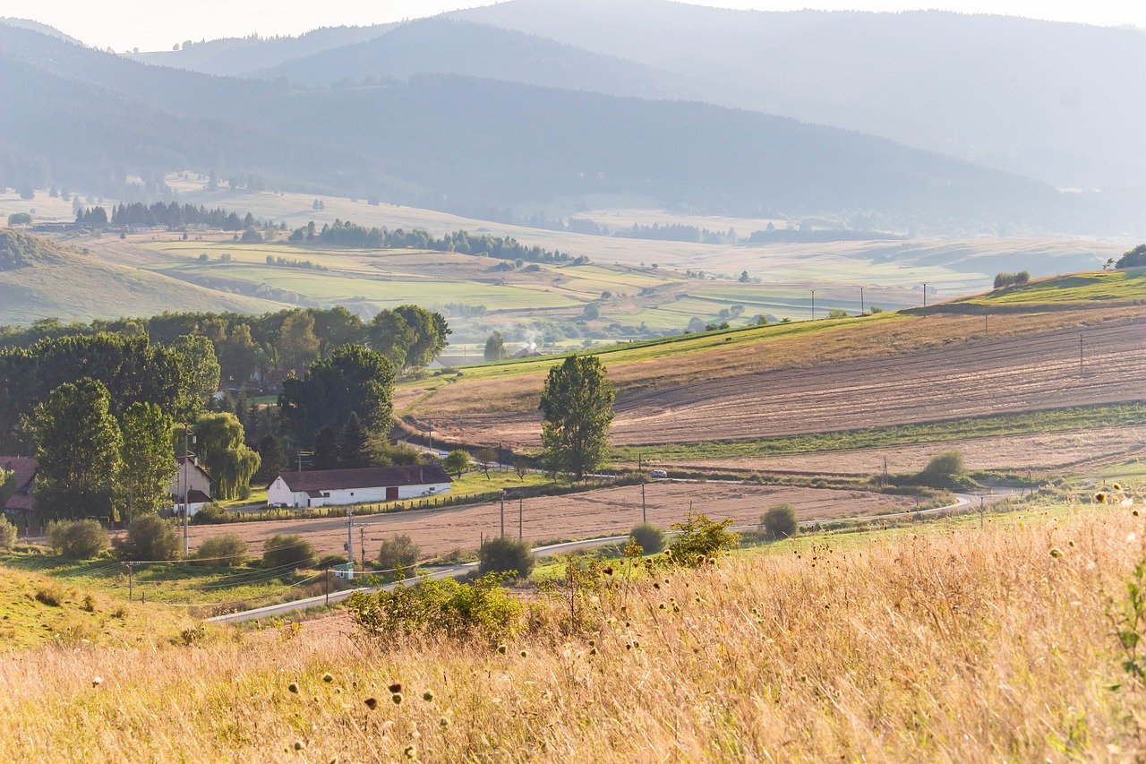 Người nước ngoài đang sử dụng thị thực lao động của Romania để đến các quốc gia EU khác một cách bất hợp pháp, các nhà chức trách tuyên bố