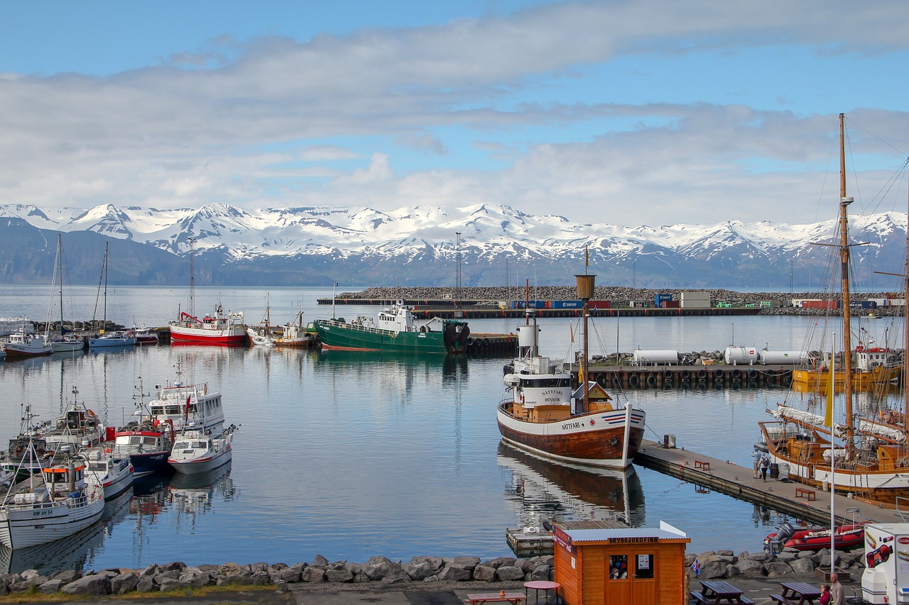 Chính phủ mới của Iceland cho biết họ sẽ đưa vấn đề tư cách thành viên EU ra trưng cầu dân ý vào năm 2027
