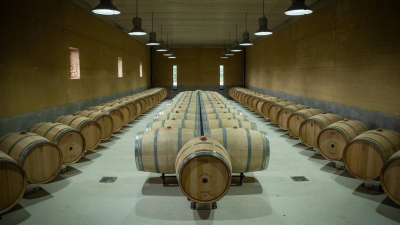 Hành Trình Về Với Bordeaux: Thăm Nhà Sản Xuất Rượu Vang Trứ Danh Maison François Janoueix