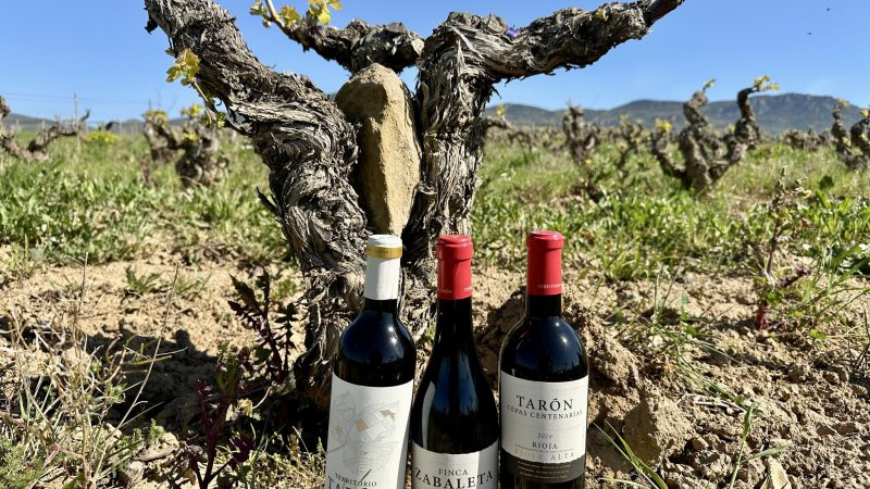 Rioja Wine Tour – Hành Trình Khám Phá Vùng Rượu Vang Trứ Danh Của Tây Ban Nha