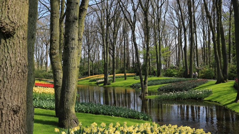 Keukenhof – Vườn hoa mùa xuân tuyệt đẹp của Hà Lan